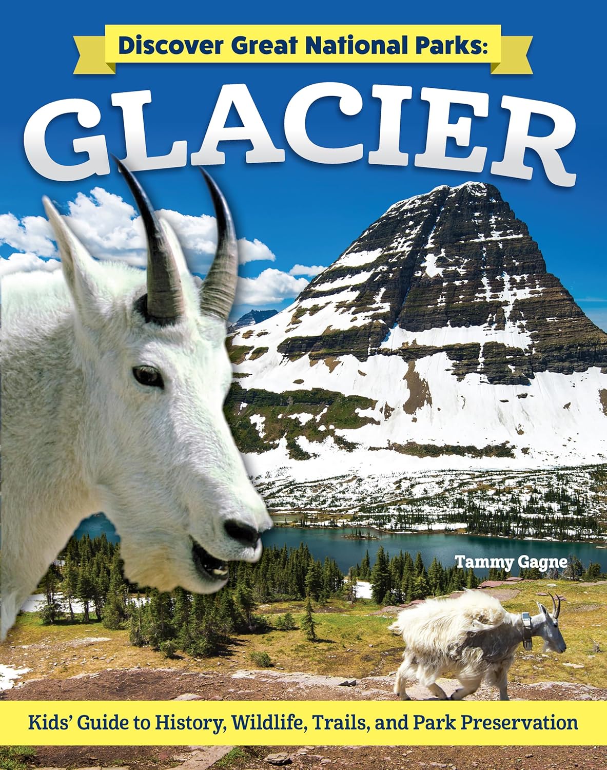 GlacierNPKidsGuide.jpg