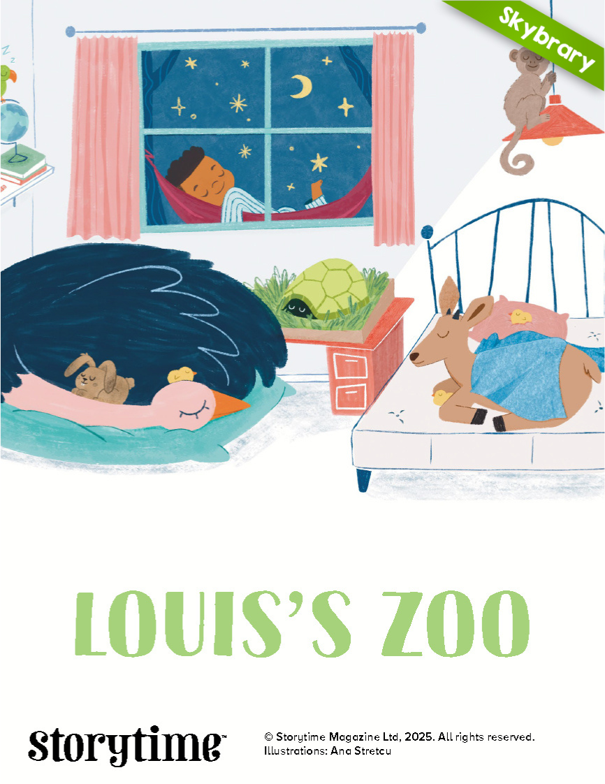 Louis's Zoo book cover