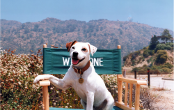 Wishbone Documentary